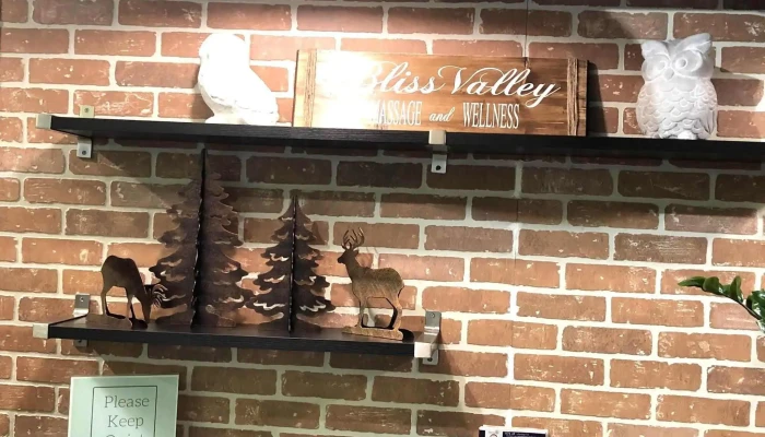 Bliss Valley Massage Wellness Website - Banff