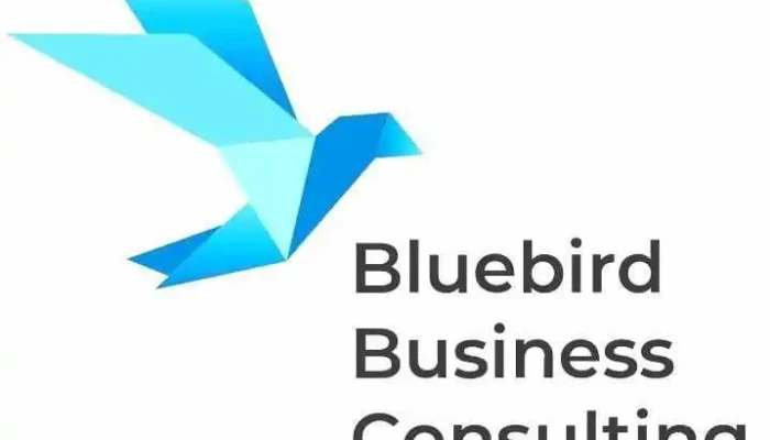 Bluebird Business Consulting - Canada