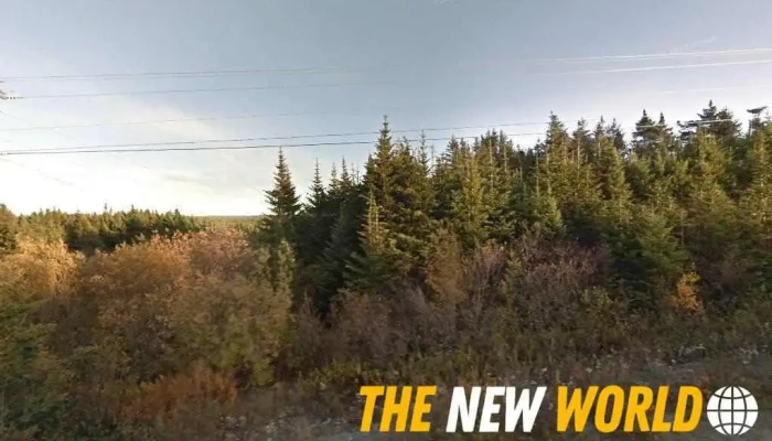 Bmn Automotive - Bonavista