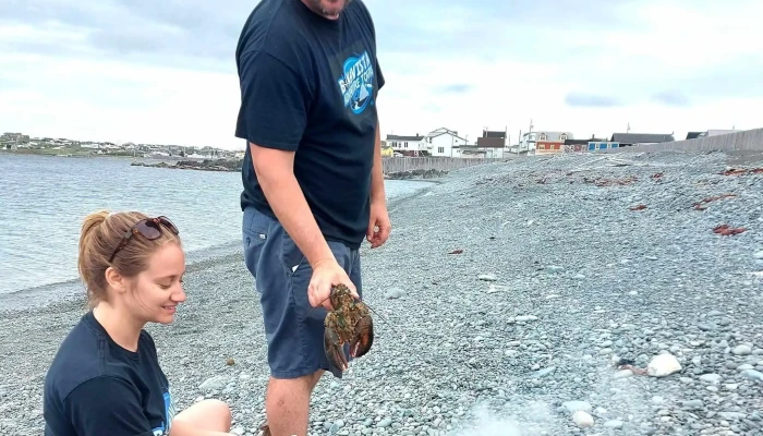 Bonavista Adventure Tours - Bonavista