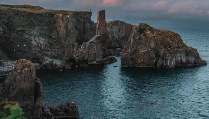 Bonavista - Bonavista