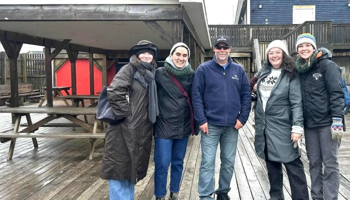 Bonavista Puffin Whale Tours Number - Bonavista