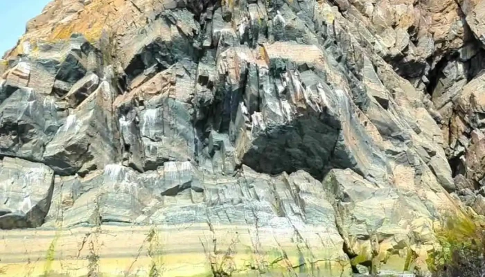 Bonavista Puffin Whale Tours Videos - Bonavista