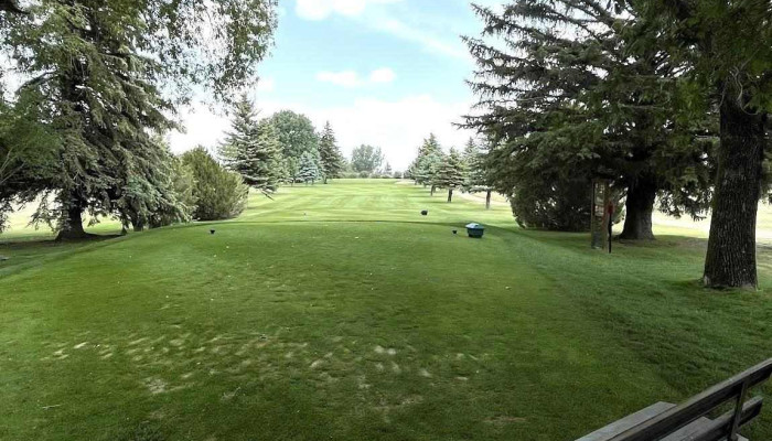 Bow Island Golf Club -  Latest - Bow Island