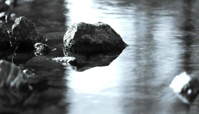 By the Creek Design - Fox Creek