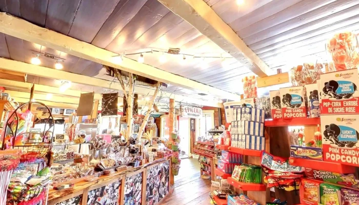 Cafe Aromes Et Saveurs Street View 360deg - Baie-saint-paul