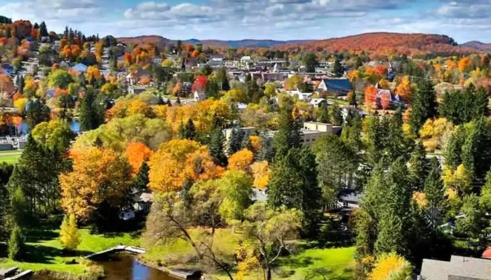 Calver Immigration Consulting Muskoka Principal - Bracebridge