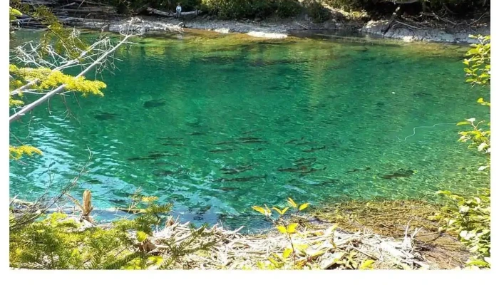 Camp Bonaventure -    Atlantic Salmon Fishing By Owner - Bonaventure