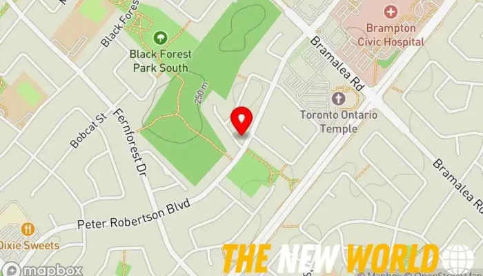 map of Canada I T Consultant Website designer in Brampton