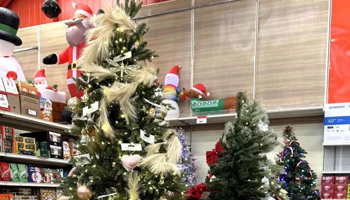 Canadian Tire -  Score - Bancroft