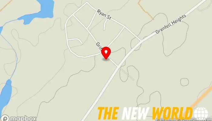 map of Cannabliss Delight C D Health consultant in Grand Falls-Windsor