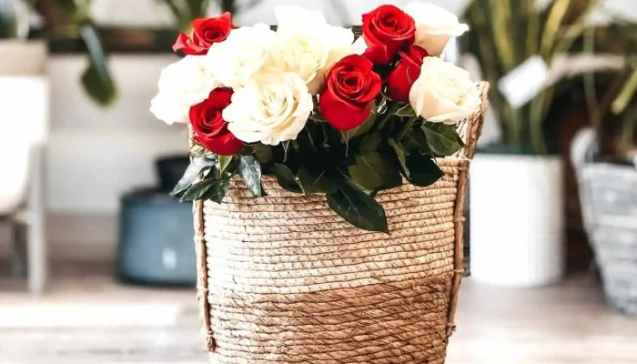 Carman Floristas - Carman