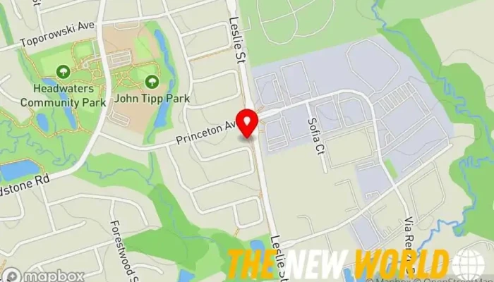 map of Cloud Managed Computer networking service, Business management consultant, Computer support and services, Security service in Richmond Hill