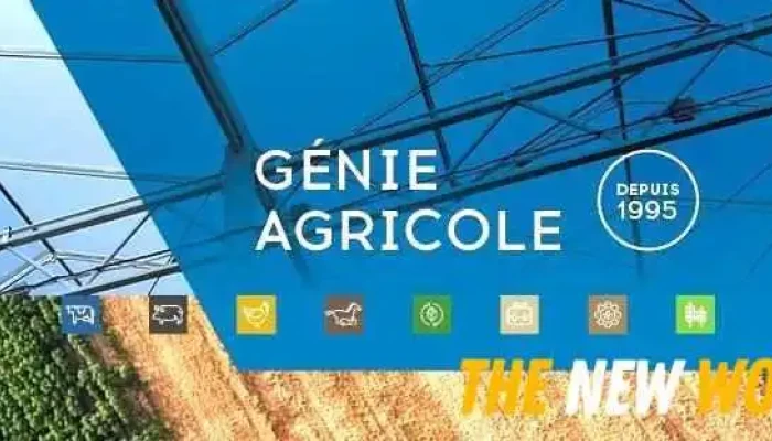 Consultants Lemay Choiniere Inc All - Ange-gardien