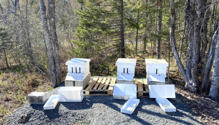 Country Fields Beekeeping Supplies - Fall River