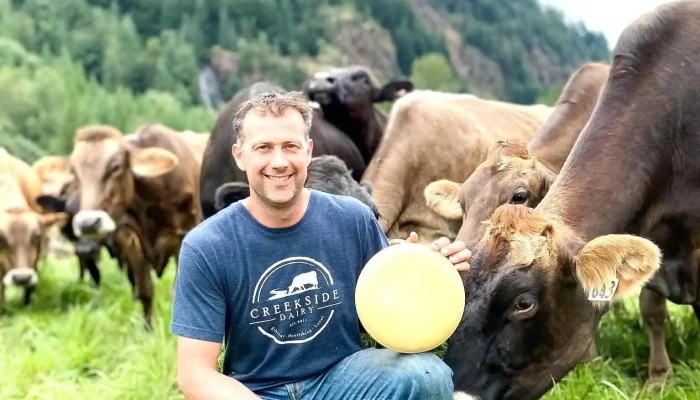 Creekside Cheese Creamery Cattle - Agassiz