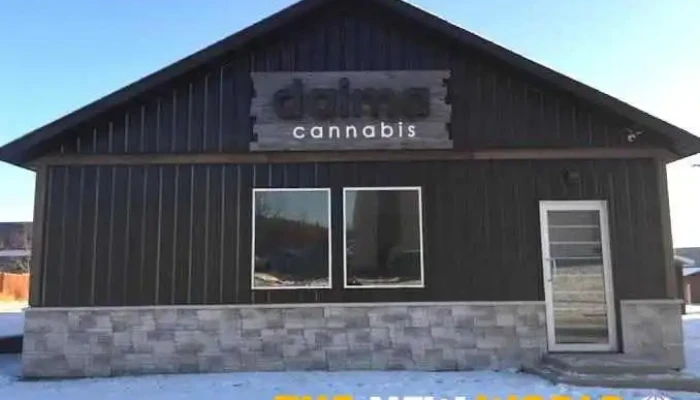 Daima Cannabis - Chetwynd