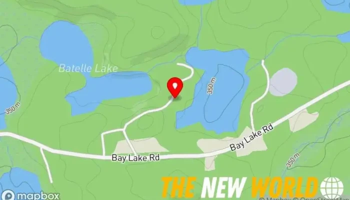 map of David Giles Business management consultant in Bancroft