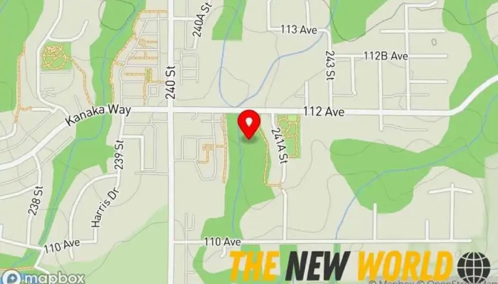 map of Design2Web IT Inc. Computer support and services, Computer consultant, Computer repair service, Computer security service, Computer service, Data recovery service, Service establishment, Web hosting company, Website designer in 
