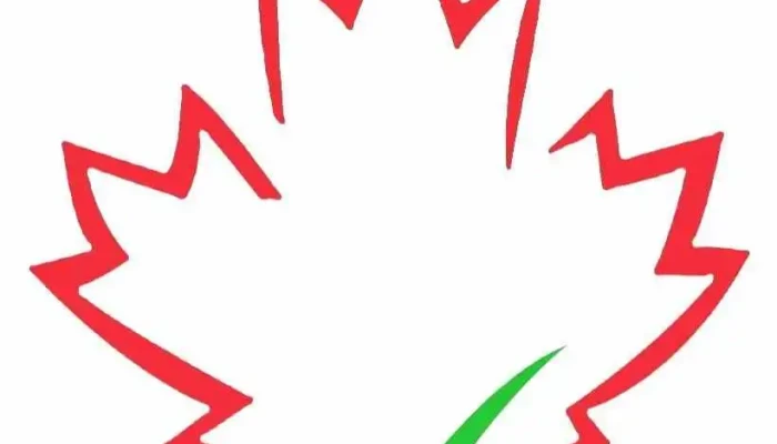 Disability Tax Consultants Of Canada -  By Owner - Montreal
