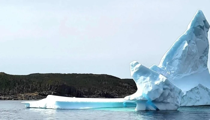 Discovery Sea Adventure Tours -  How To Get There - Bonavista