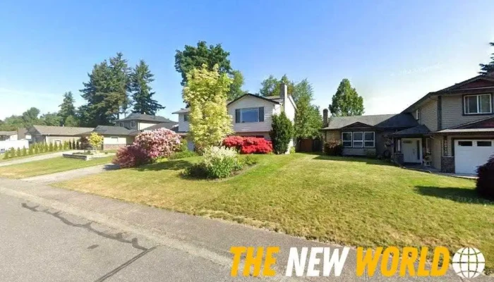 Domain Networks - Aldergrove