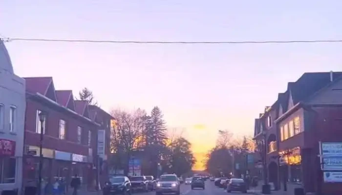 Downtown Notary -  Videos - Alliston