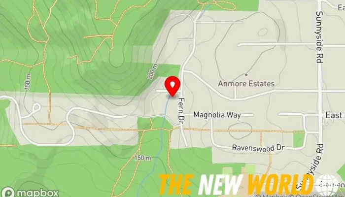 map of Dynosource Consulting Inc Consultant in Anmore