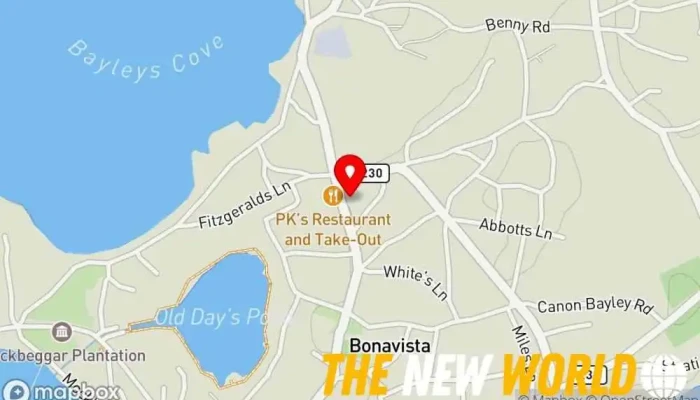 map of East Coast Glow Cosmetic products manufacturer, Cosmetics store in Bonavista