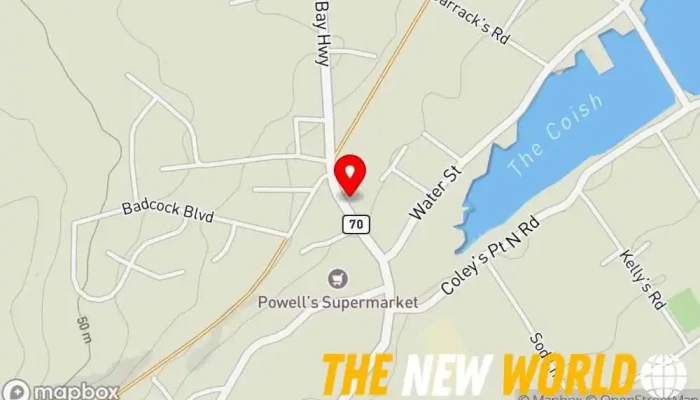 map of Edwards and Associates Limited Land surveying office, Consultant, Engineer, Land surveyor, Marine surveyor, Quantity surveyor, Real estate surveyor, Surveyor in Bay Roberts