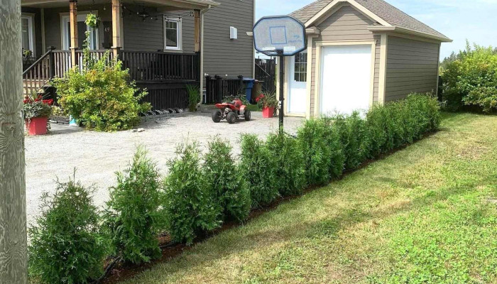 Ferme Sigamel Inc. Production de cèdres cultivés en pot - Cacouna