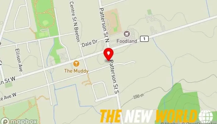 map of Gannon MSP Inc. Computer support and services, Computer networking service, Computer repair service, Computer security service, Security system installation service, Security system supplier in Beeton