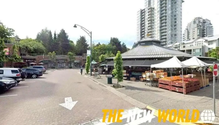 Gohar It consulting Inc - Port Moody