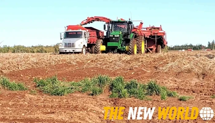Green Diamond Equipment -    Antigonish Ns All - Antigonish