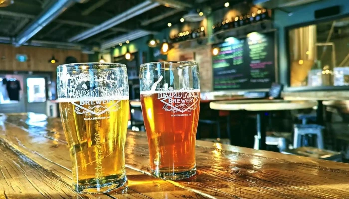 Hard Knox Brewery -  Pub - Diamond Valley