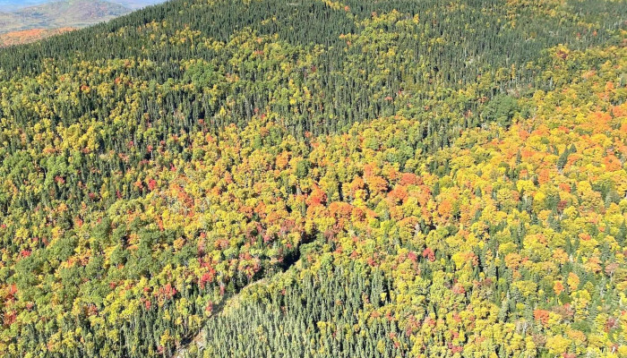 Heli Charlevoix Comments - Baie-saint-paul