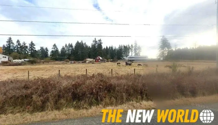 Hemstalk R Automotive Ltd - Cowichan Bay