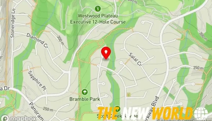 map of IE-Consulting Engineering consultant, Engineer in Coquitlam