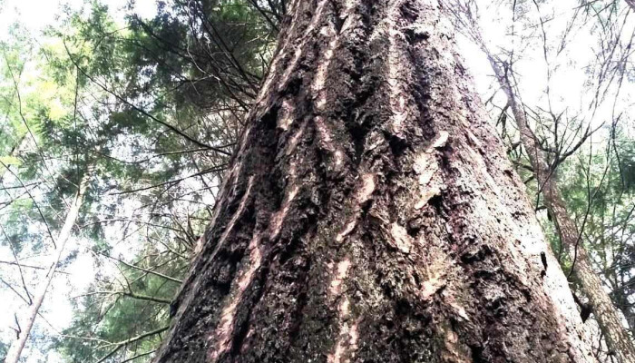 Infinity -  Pacific Stewardship Group Ltd By Owner - Abbotsford
