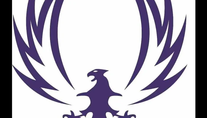 Iomatrix Consulting All - Canada