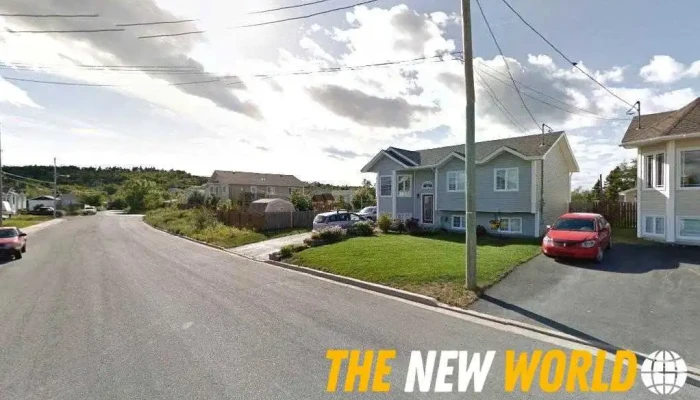 Jo-Ann's Epic Journey with Epicure - Conception Bay South
