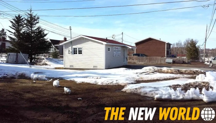 Judy's Hair Fashions - Botwood