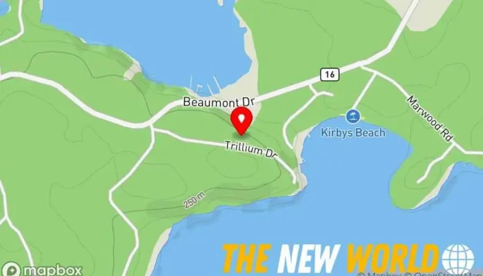 map of K. Turner and Associates Consultant in Bracebridge
