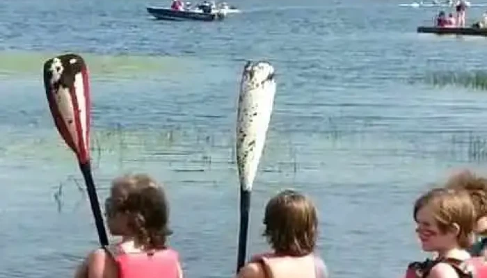 Kind Seas -  Videos - Bonavista