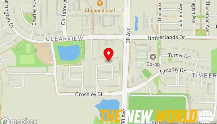 map of Kolba Consulting Inc. Business management consultant in Red Deer