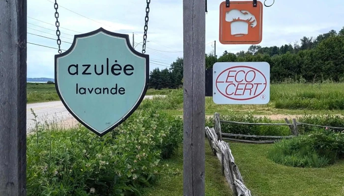 Lavande Azulee Lavender Farm Phone - Baie-saint-paul