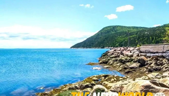 Les Immeubles Charlevoix -  By Owner - Baie-saint-paul