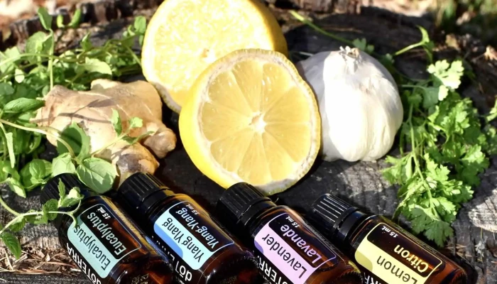 Love You First Naturopath -  By Owner - Riverview
