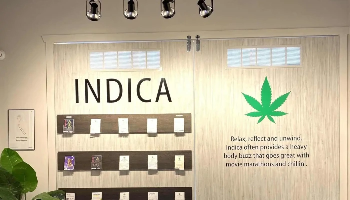 Lux Leaf Cannabis -    Blackfalds Instagram - Blackfalds
