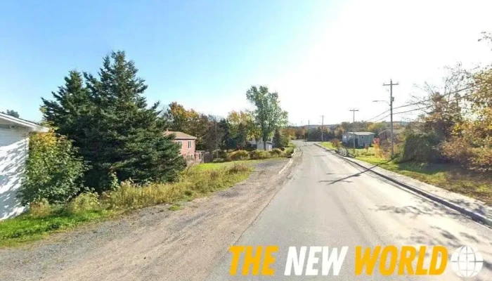 magicwand inc - Carbonear
